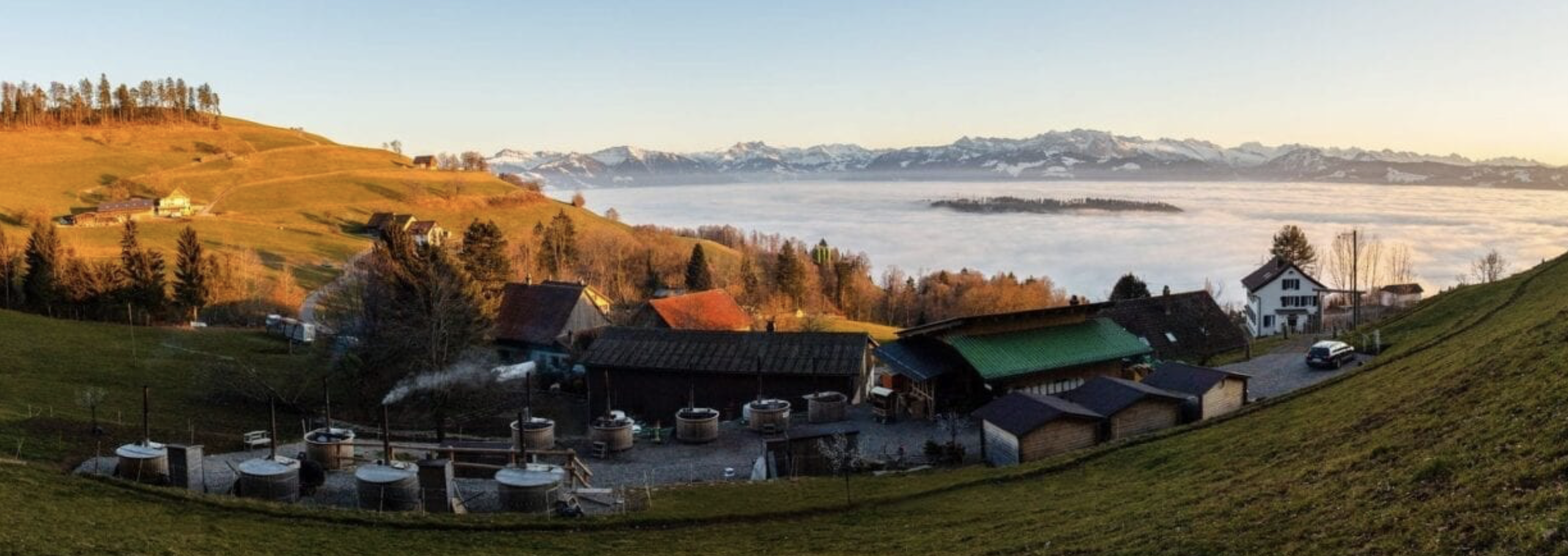 Alpenbad Aussicht Zurichsee